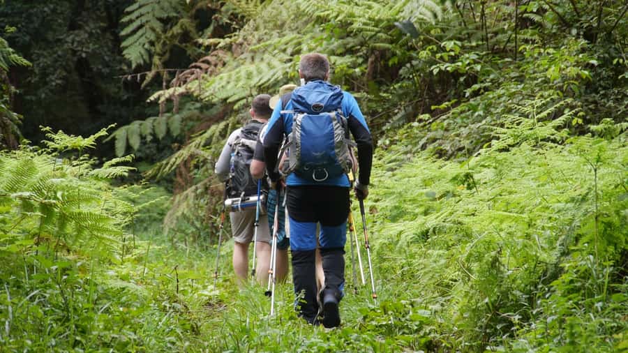 Kilimanjaro: Day trip -hike to Mandara Hut Kilimanjaro 2700m - Leaving Moshi for Marangu Gate