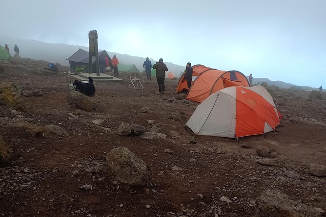 Kilimanjaro Experience 7 Days Lemosho route - Day 4: Lava Tower, the Shark’s Tooth, and Barranco
