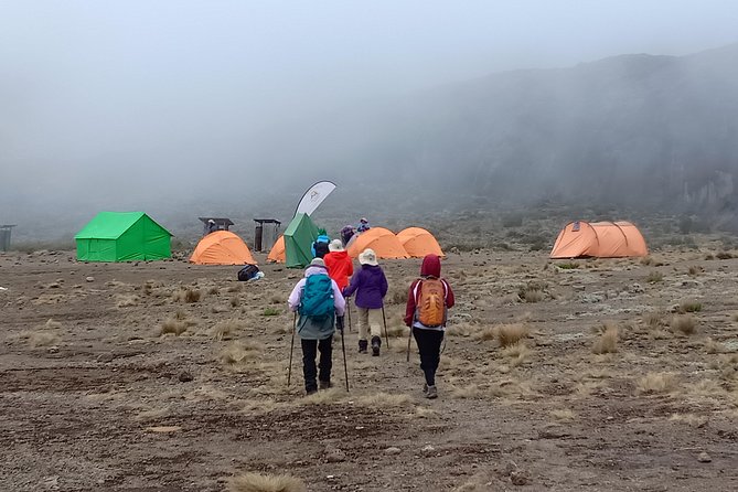 Kilimanjaro Experience 7 Days Lemosho route - Day 1: Londorossi Gate and the first rainforest camp