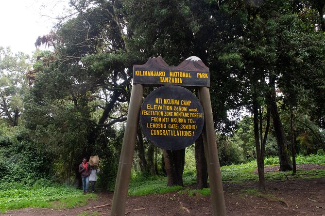 Kilimanjaro Lemosho Route 7 Days - Day 5: The Great Barranco Wall and Karanga Valley