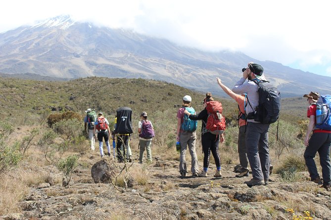 Kilimanjaro Lemosho Route 7 Days - Day one: Londorossi Gate to Mti Mkubwa Camp