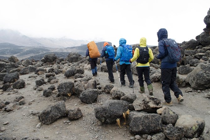 Kilimanjaro Lemosho Route 8 Days - Day 3: Shark’s Tooth and the alpine desert