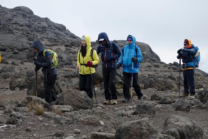 Kilimanjaro Lemosho Route 8 Days - Day 4: Lava Tower, then the drop into Barranco