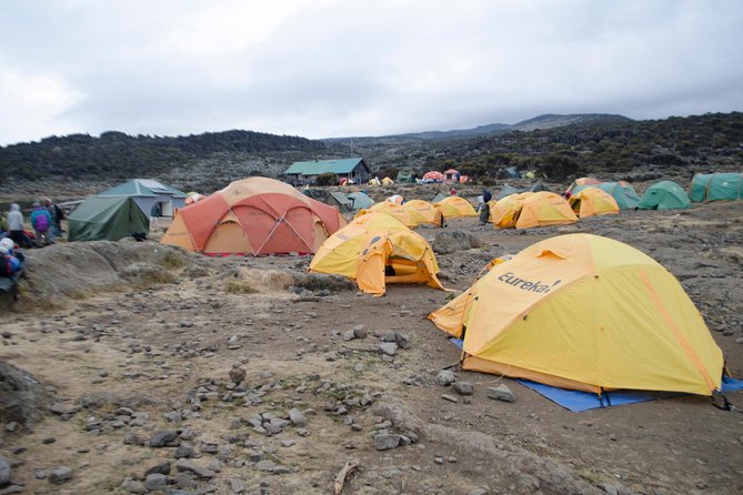 Kilimanjaro Lemosho Route 8 Days - Day 5: Climbing the Great Barranco Wall