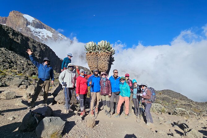 Kilimanjaro Lemosho Route 8 Days - Day 6: Stella Point, Uhuru Peak, and the long return