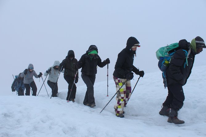Kilimanjaro Lemosho Route 8 Days - Day 7: Mweka forest and the return to town