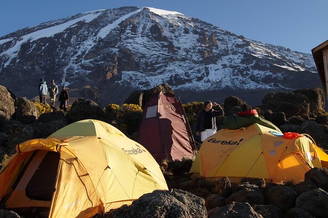 Kilimanjaro-lemosho Route 8 Days Itinerary - Day 1: Arusha Safari Lodge and the 5:30 PM Briefing