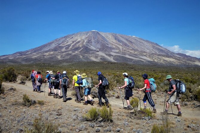 Kilimanjaro-lemosho Route 8 Days Itinerary - Day 5: Lava Tower and the Barranco Valley