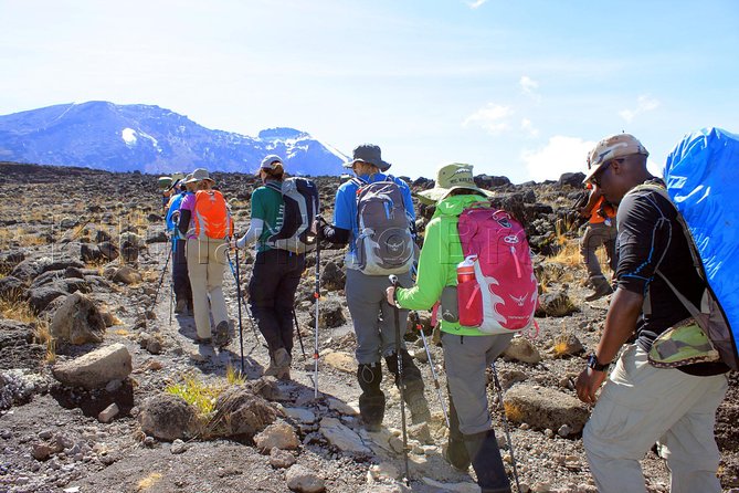 Kilimanjaro-lemosho Route 8 Days Itinerary - Day 7: Karanga to Barafu Camp