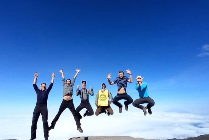 Kilimanjaro Lemosho Route - Day 2: Mti Mkubwa and the Shira Moorlands