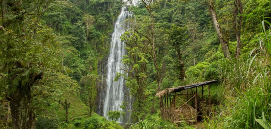 Kilimanjaro: Maasai Village Visit, Waterfalls, & Coffee Tour - What the guides add to the experience