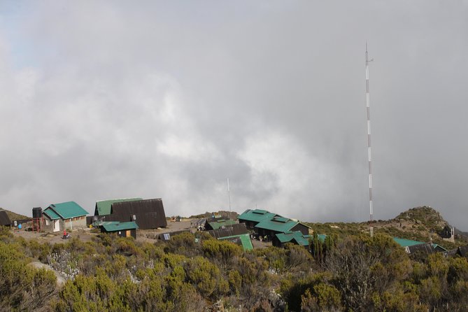 Kilimanjaro Marangu Route 6 Days - Day Five: Gillman’s Point, Uhuru Peak, and the Long Descent