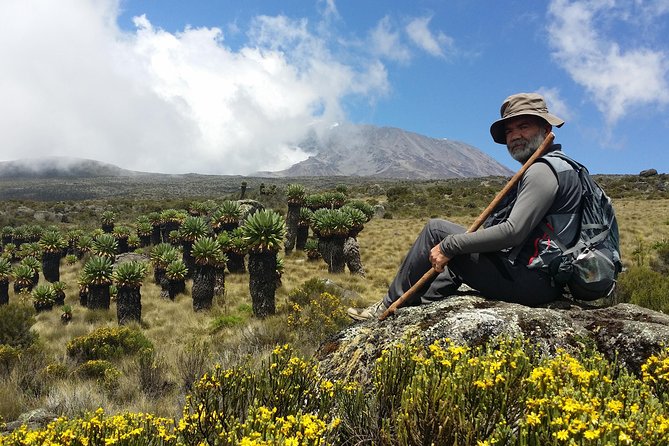 Kilimanjaro Marangu Route Day Tour - What this Kilimanjaro day trip really offers