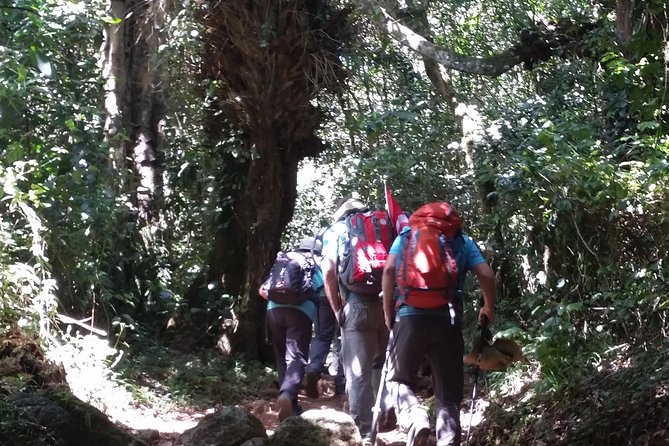 Kilimanjaro Marangu Route Day Tour - Leaving Moshi at 8:30 in the morning