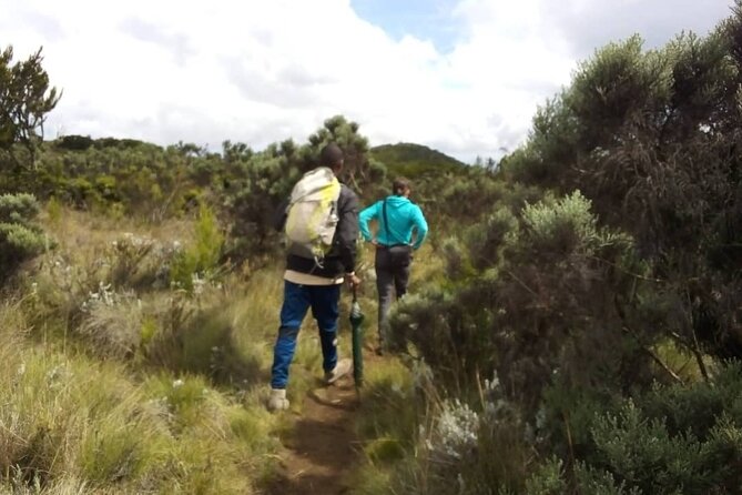 Kilimanjaro National Park Day Trip - Mandara Hut, Lunch, and the Turnaround Point