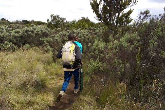 Kilimanjaro National Park Day Trip - The Descent Back to the Gate