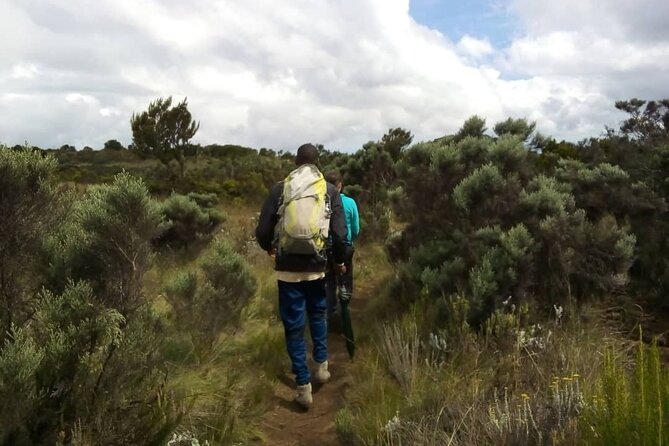 Kilimanjaro National Park Day Trip - Is $250.42 a Fair Price?