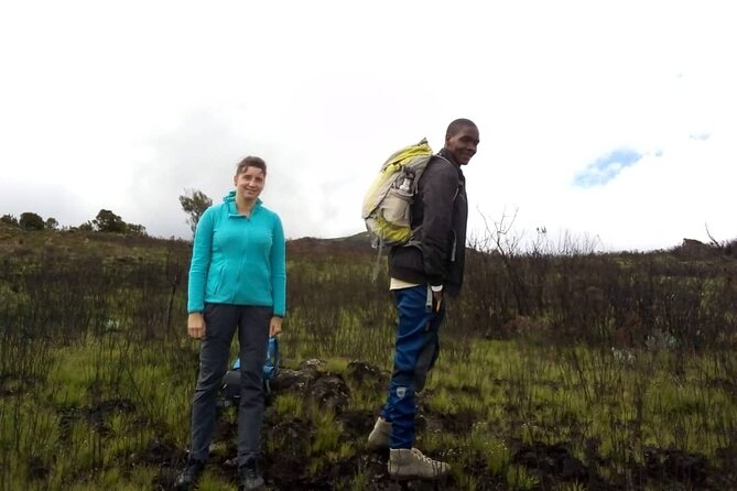Kilimanjaro National Park Day Trip - Walking Through Kilimanjaro’s Montane Forest