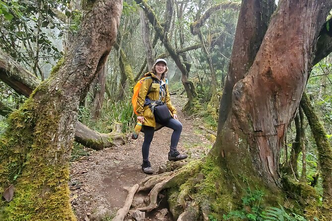 Kilimanjaro Northern Circuit Route 8 Days - Key points to know before booking