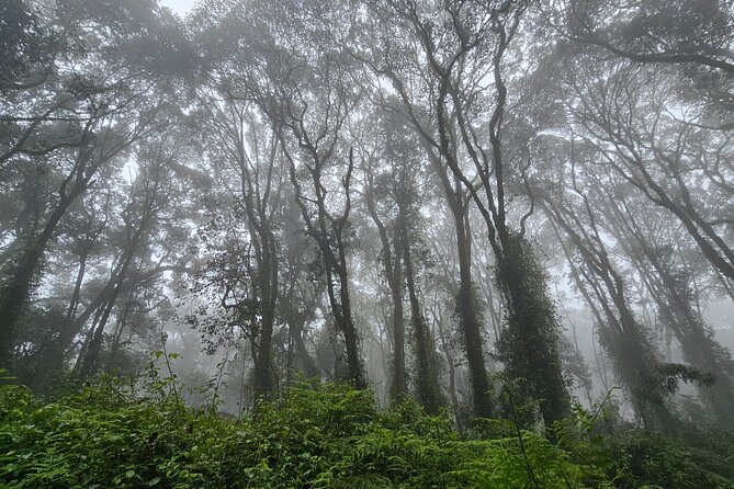 Kilimanjaro Northern Circuit Route 8 Days - Why the Northern Circuit takes eight days