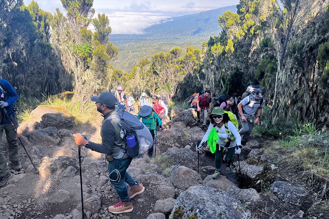 Kilimanjaro Northern Circuit Route 8 Days - Day 3: Shark’s Tooth and the high desert