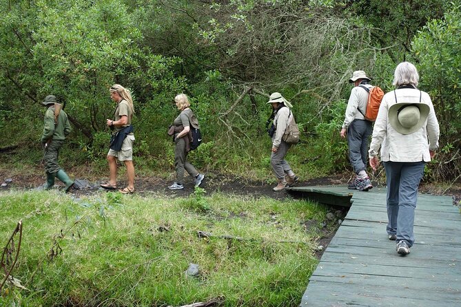 Kilimanjaro Private 2 Days Hiking Tour - Day one through Kilimanjaro’s tropical forest