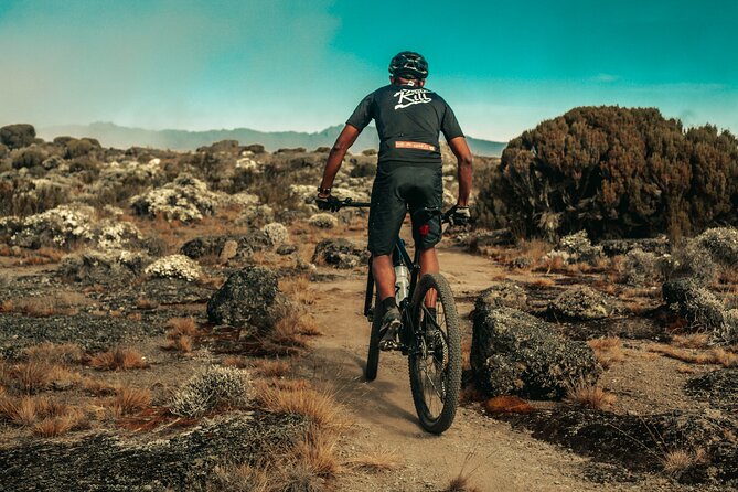 Kilimanjaro Shira Plateau E-Bike Day Trip - From One Bike Shop to Kilimanjaro’s western gate