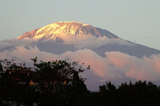 Kilimanjaro Shira Plateau E-Bike Day Trip - What the $399 price really covers