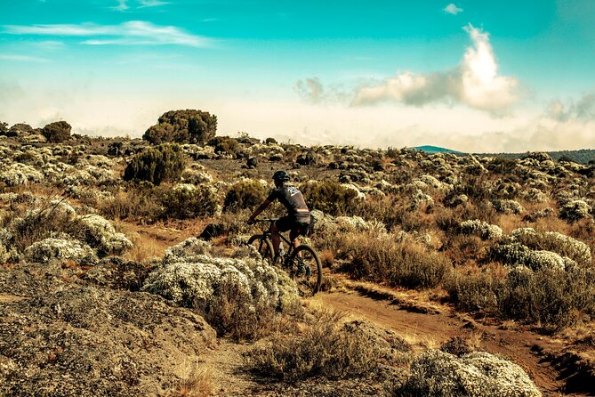 Kilimanjaro Shira Plateau E-Bike Day Trip - What to bring for a better day