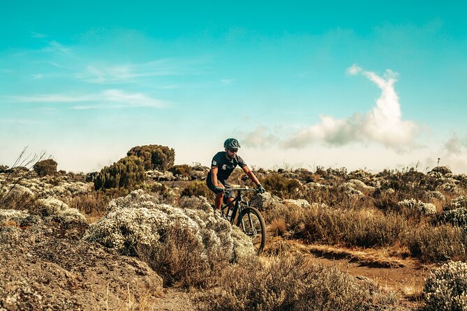 Kilimanjaro Shira Plateau E-Bike Day Trip - Private touring, pickup, and cancellation terms
