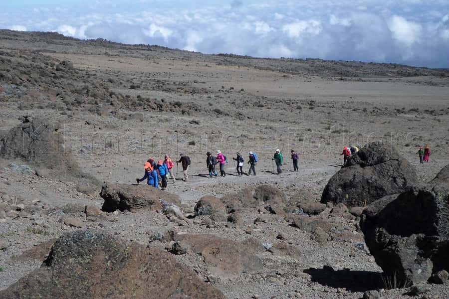Kilimanjaro: Shira plateau to Cathedral point 3872m Day hike - What to pack for the altitude and weather