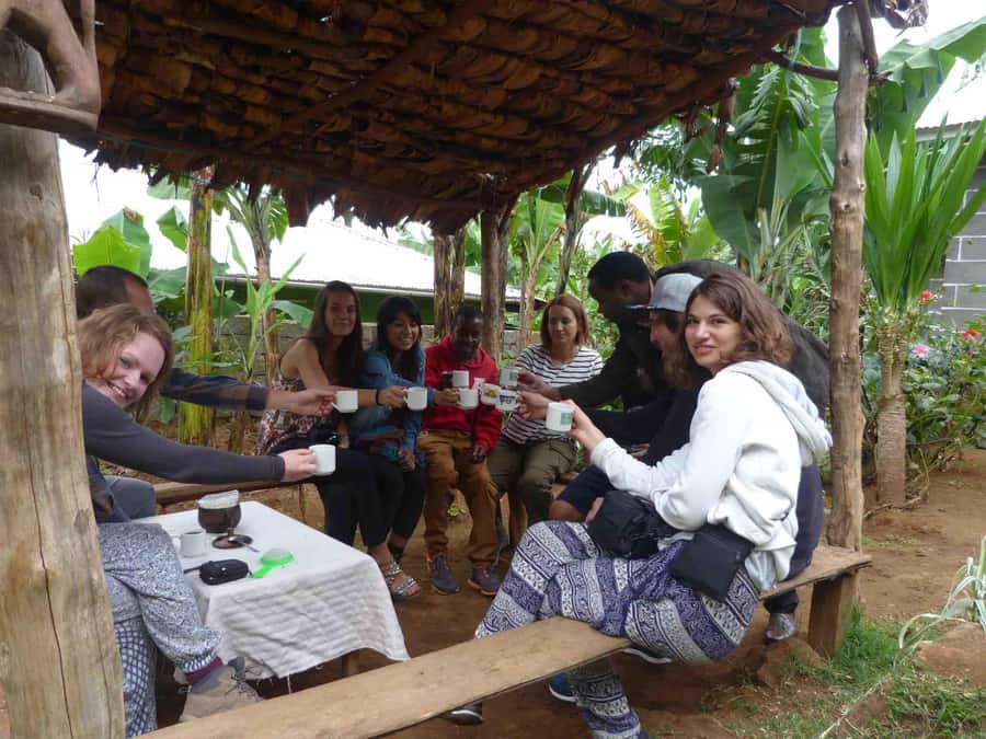 Kilimanjaro: Village Walk, Coffee Tour, Waterfall, and Lunch - Materuni Waterfall and the forest route
