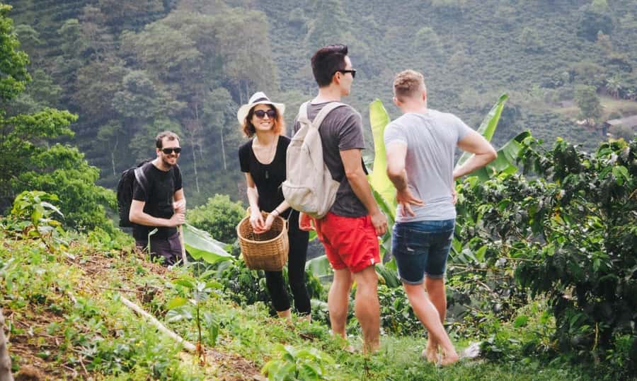 Kilimanjaro: Village Walk, Coffee Tour, Waterfall, and Lunch - The drive from Moshi or Arusha