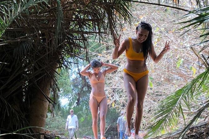 Kilimanjaro Waterfalls Hike & Moshi Hot Springs Day Trip Tour - The guides can shape the whole day