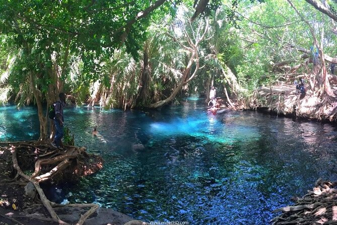 Kilimanjaro Waterfalls Hike & Moshi Hot Springs Day Trip Tour - Meeting village and coffee guides