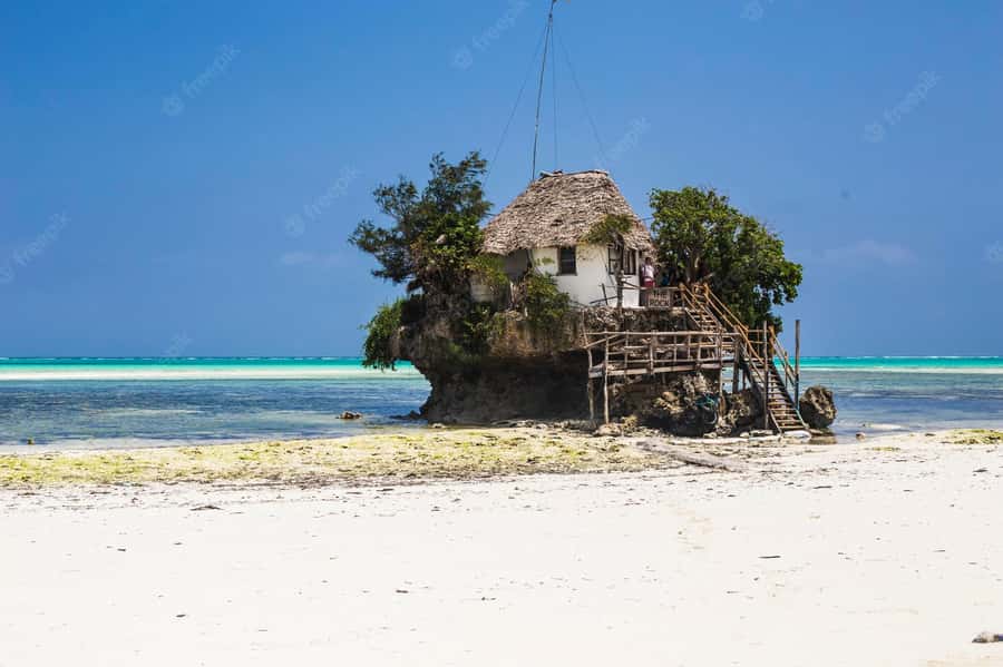 Kiwengwa/Zanzibar: Mnemba, Kuza Cave & Jozani Forest Tour - Ending at The Rock Restaurant in Michamvi Pingwe