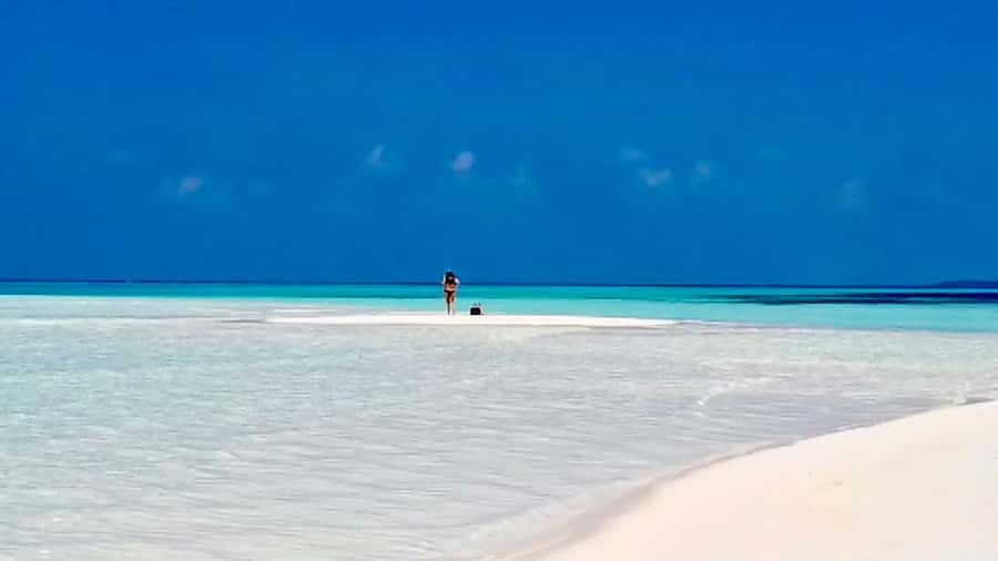 Kiwengwa/Zanzibar: Mnemba, Kuza Cave & Jozani Forest Tour - What $135 includes, and what it does not