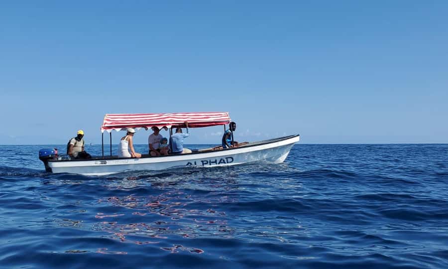 Kiwengwa/Zanzibar: Mnemba, Kuza Cave & Jozani Forest Tour - Timing, comfort, and what to pack