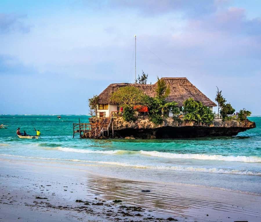 Kiwengwa/Zanzibar: Mnemba, Kuza Cave & Jozani Forest Tour - Searching for dolphins around Mnemba Island