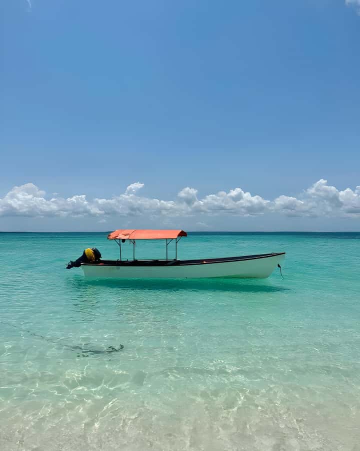 Kizimkazi: Pungume Island Snorkeling & Sandbank Tour - Seafood lunch served on the beach