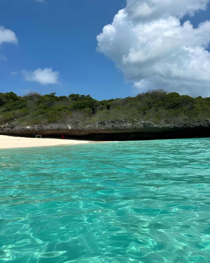 Kizimkazi: Pungume Island Snorkeling & Sandbank Tour - What the $100 price really buys you