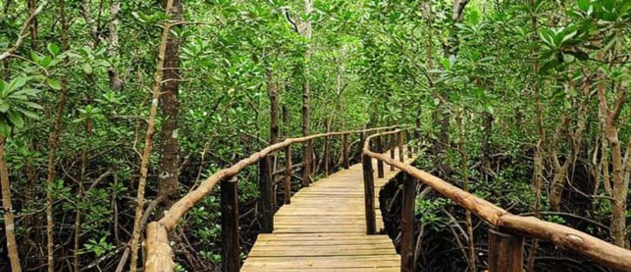 Kuza Cave, Hidden Mtende Beach & The Rock Restaurant - Is $49 good value?