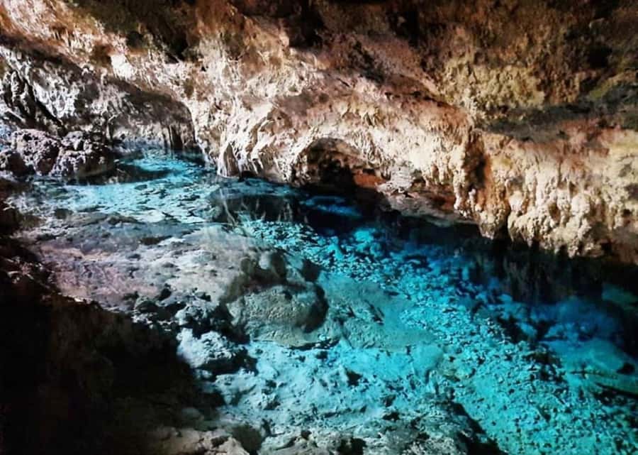 Kuza Cave, Tandem Clear Kayak, Rock Restaurant, Paje Beach - Clear tandem kayaking through mangrove tunnels