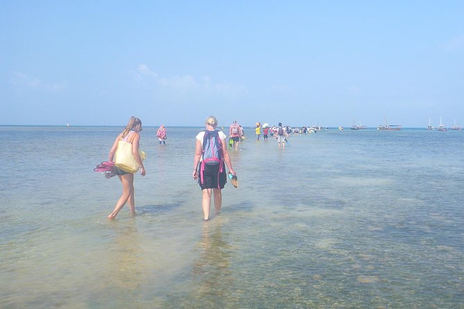Kwale Island Dhow Sailing Tour from Zanzibar with Seafood Lunch - Setting out from Zanzibar by traditional dhow
