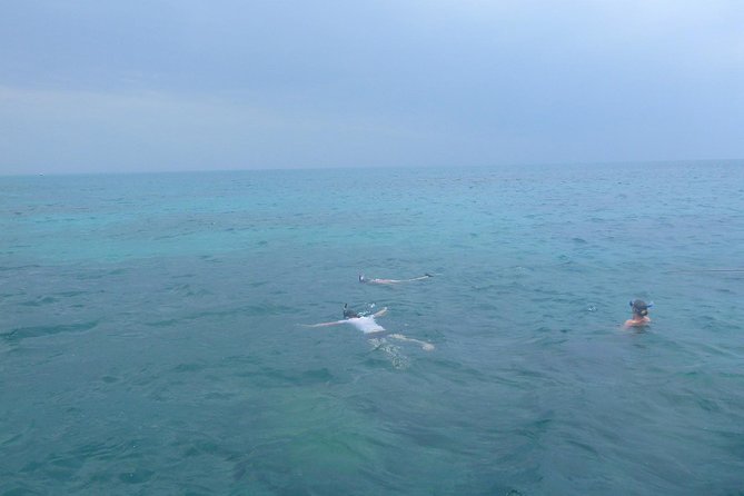Kwale Island Dhow Sailing Tour from Zanzibar with Seafood Lunch - Walking to the ancient baobab tree