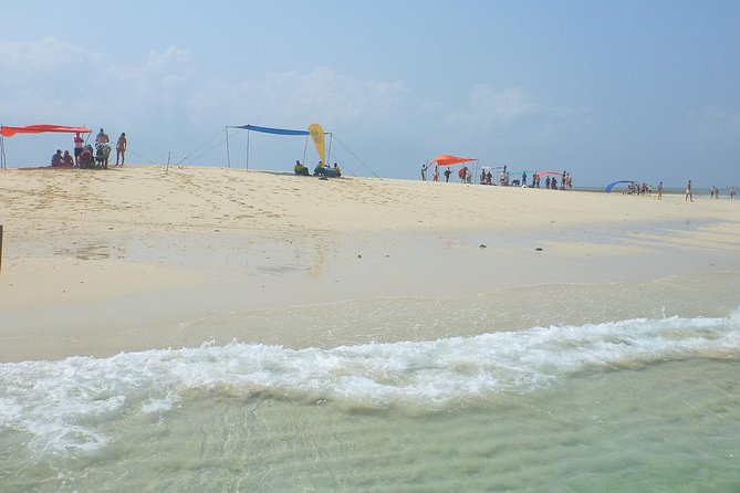 Kwale Island Dhow Sailing Tour from Zanzibar with Seafood Lunch - Menai Bay coral snorkeling for one hour