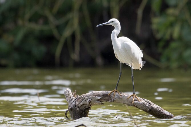 Lake duluti Canoeing/kayaking &/or cycling adventure with lunch - A closer look at Tanzanian coffee farming