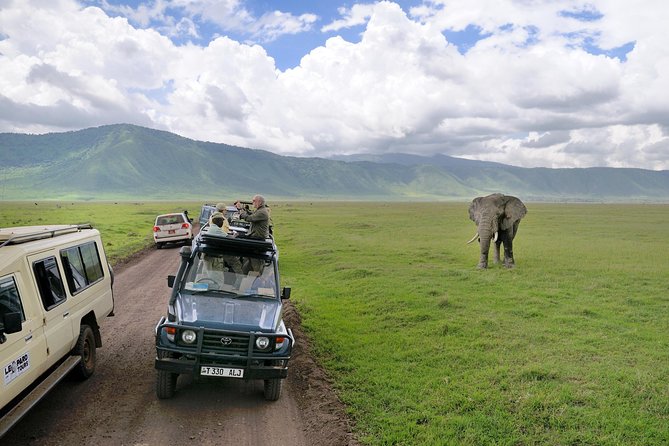 Lake Manyara National Park Full-Day Tour from Arusha - Leaving Arusha at 7:00 a.m.