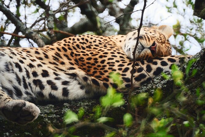 Latest Updates On The Top Best 3 day Serengeti Migration Safari - Day 1: The long road from Arusha to Serengeti