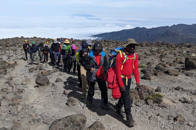 Lemosho Route 7 Days Trekking at Mount Kilimanjaro - The Barranco Wall and a short day to Karanga